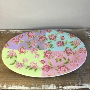 Sweet Olive Designs Rose Collection Pastel Colorblock Shabby Chic Platter Plate